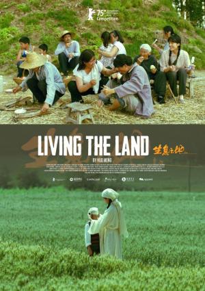 Cartel de la película sobre la vida rural en China.